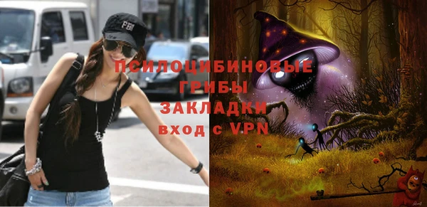ALPHA-PVP Инсар