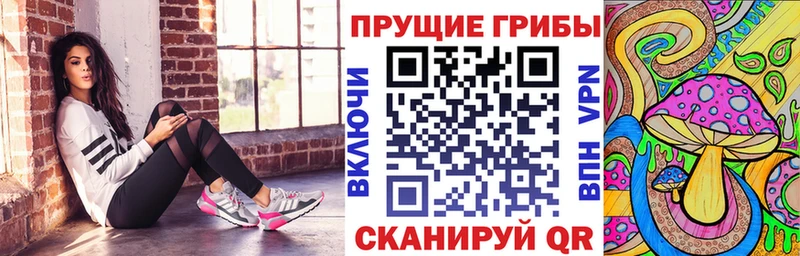 Псилоцибиновые грибы Psilocybe  наркота  Кингисепп 