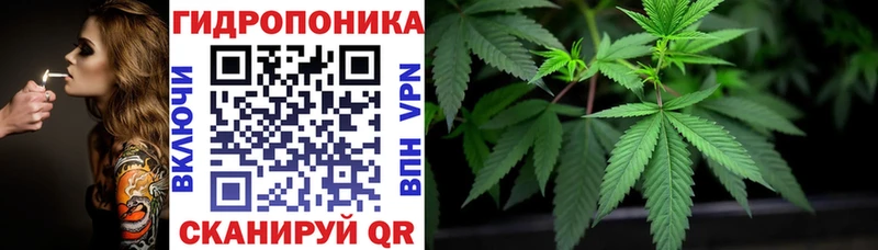 Марихуана ГИДРОПОН Кингисепп
